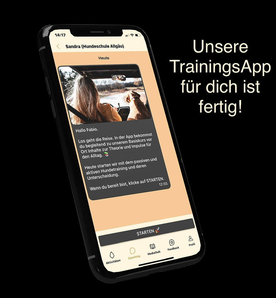 Trainingsapp