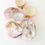 Küçük resim: Sea Shell 