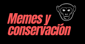 Memes y conservación