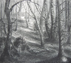 The White Heart - Etching - Flora McLachlan - SOLD