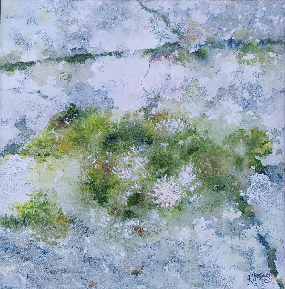 Rock Garden / Gardd y Graig