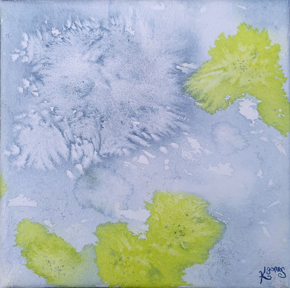 Lichen on Stone / Cen ar Garreg