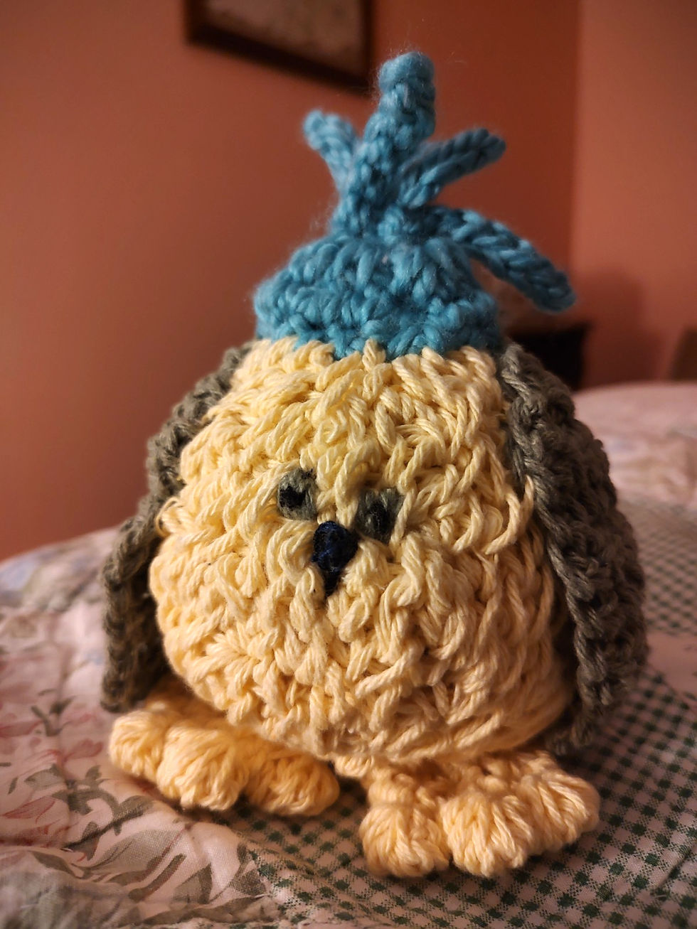 Andy's bunny/dog