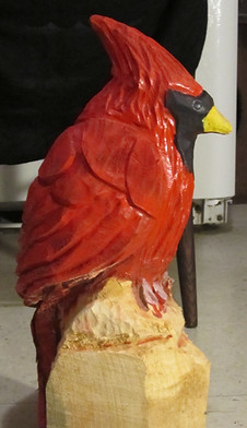 cardinal by Legacy Cardinal 2018