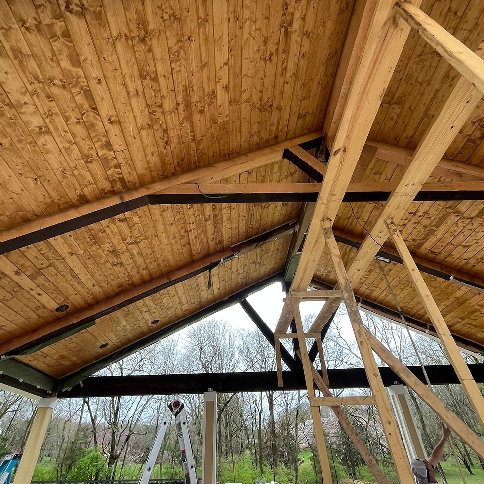 done ceiling.jpg