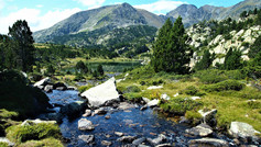 P1014747.JPG