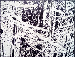 Zima 3