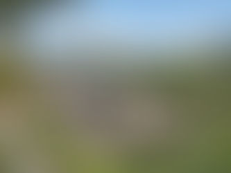 beautiful home nestled into LA hillside with wraparound patio