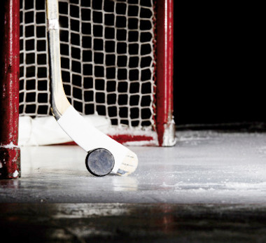 Hockey Puck & Stick