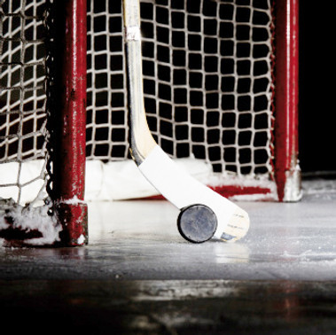 Hockey Puck & Stick