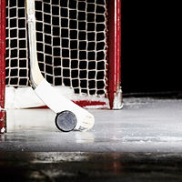Hockey Puck & Stick