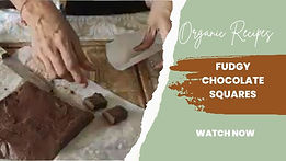 fudgy chocolate squares.jpg