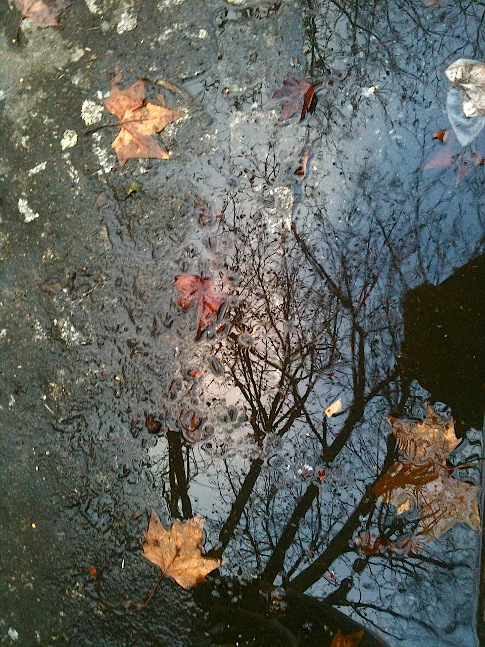 Automne
