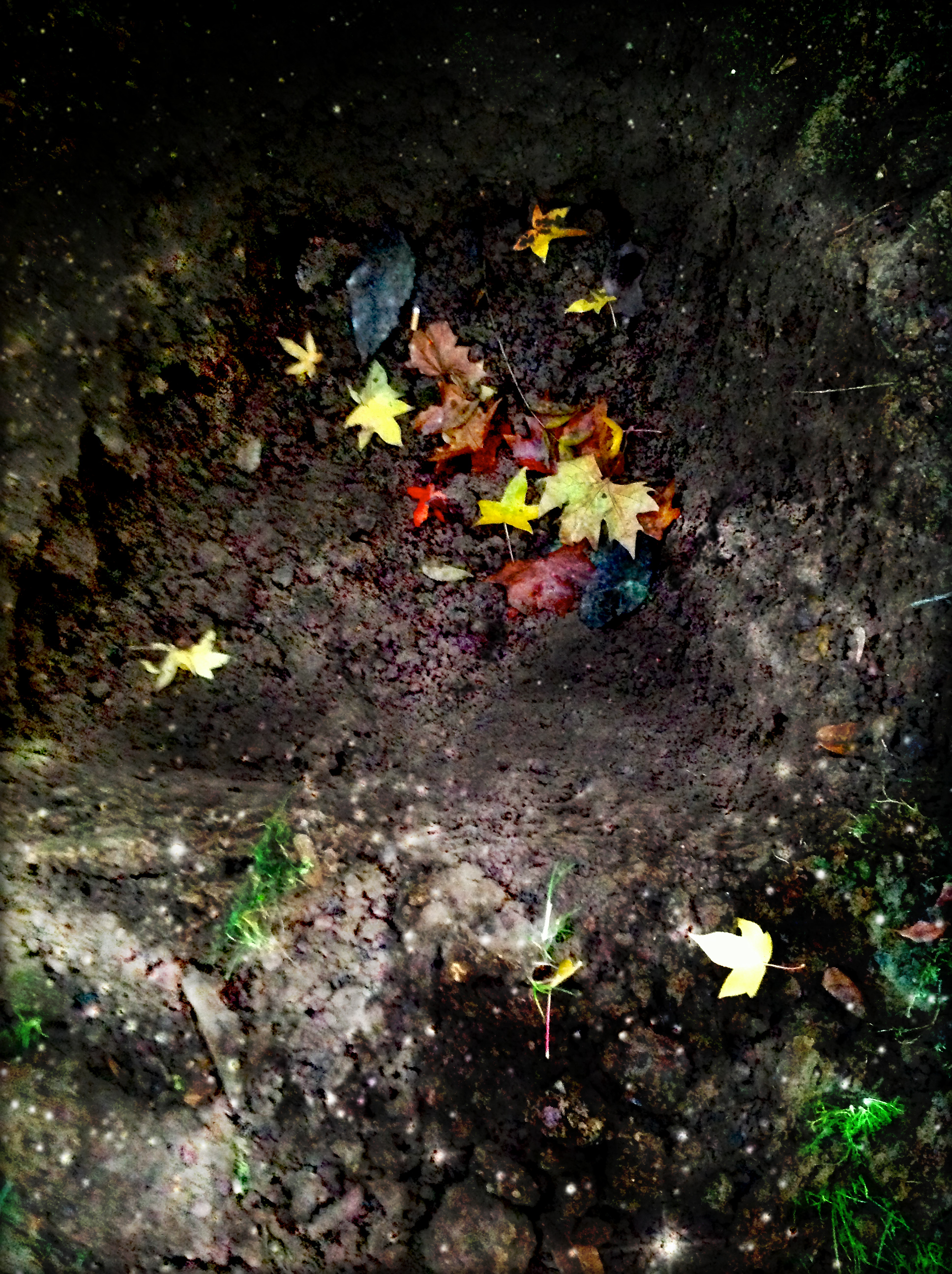 Feuilles d'or et couleurs
