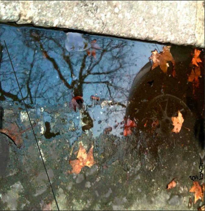 Roue reflet