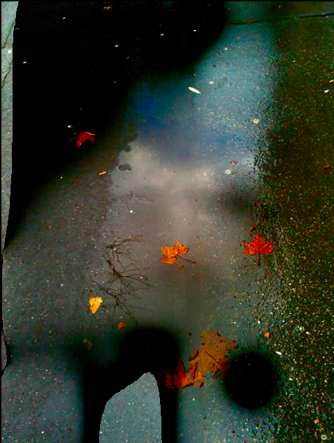 Femme aux Feuilles rouges