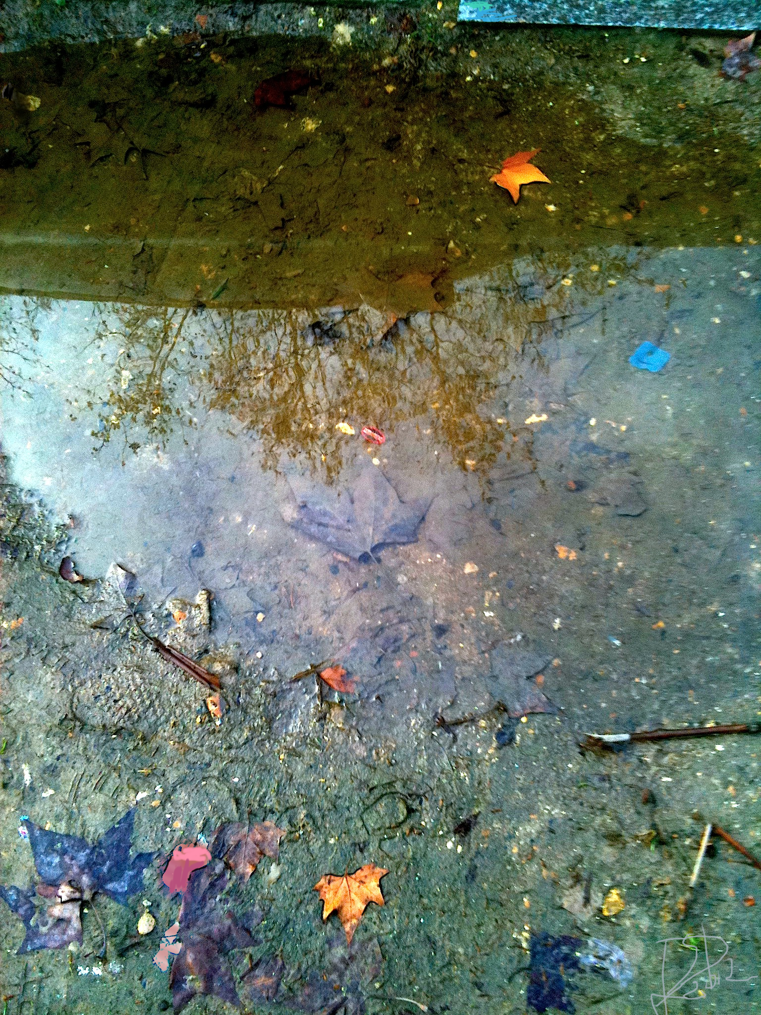 Reflets d'or