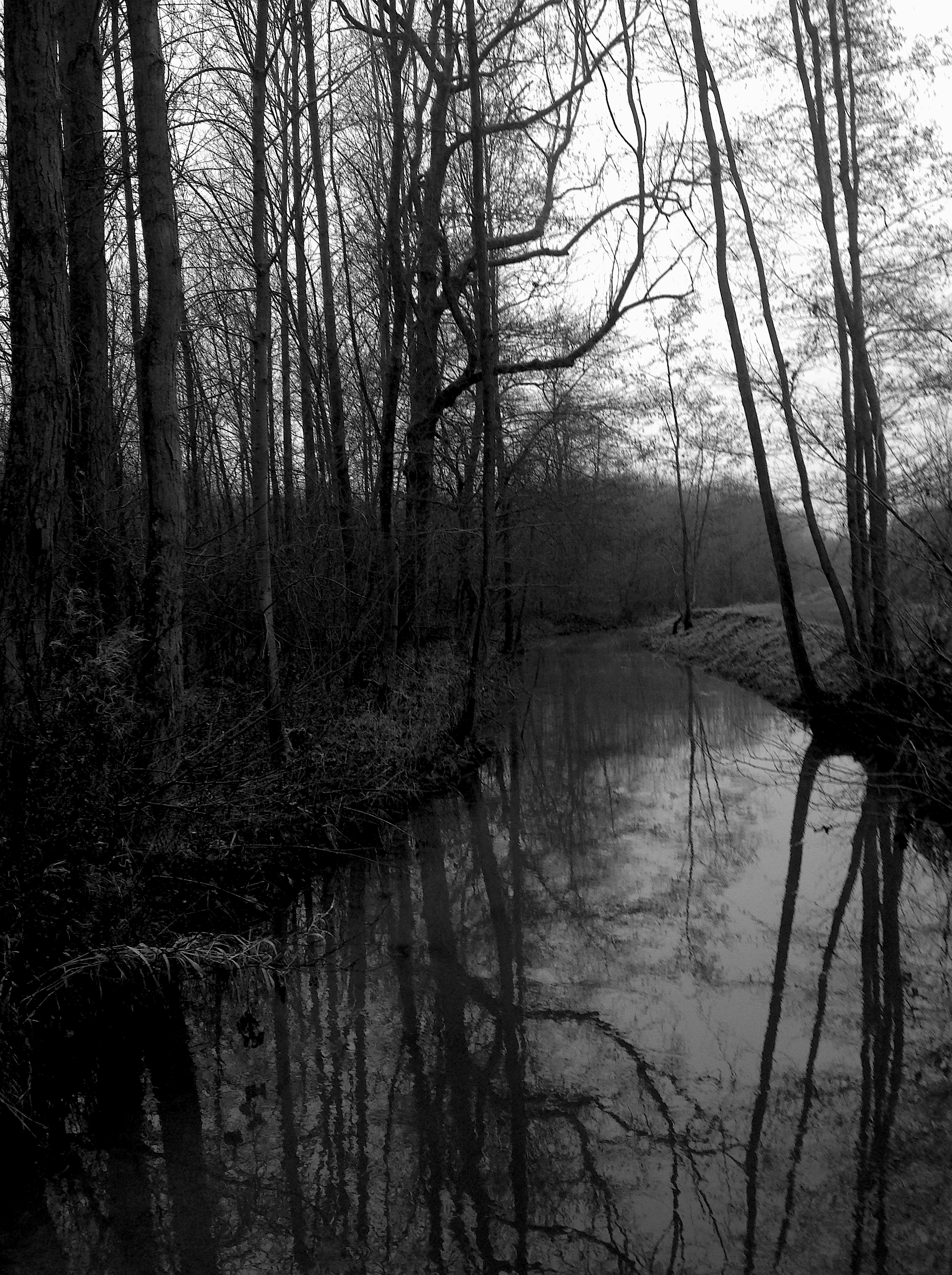 L'hiver sur la Scarpe-Around Saint E