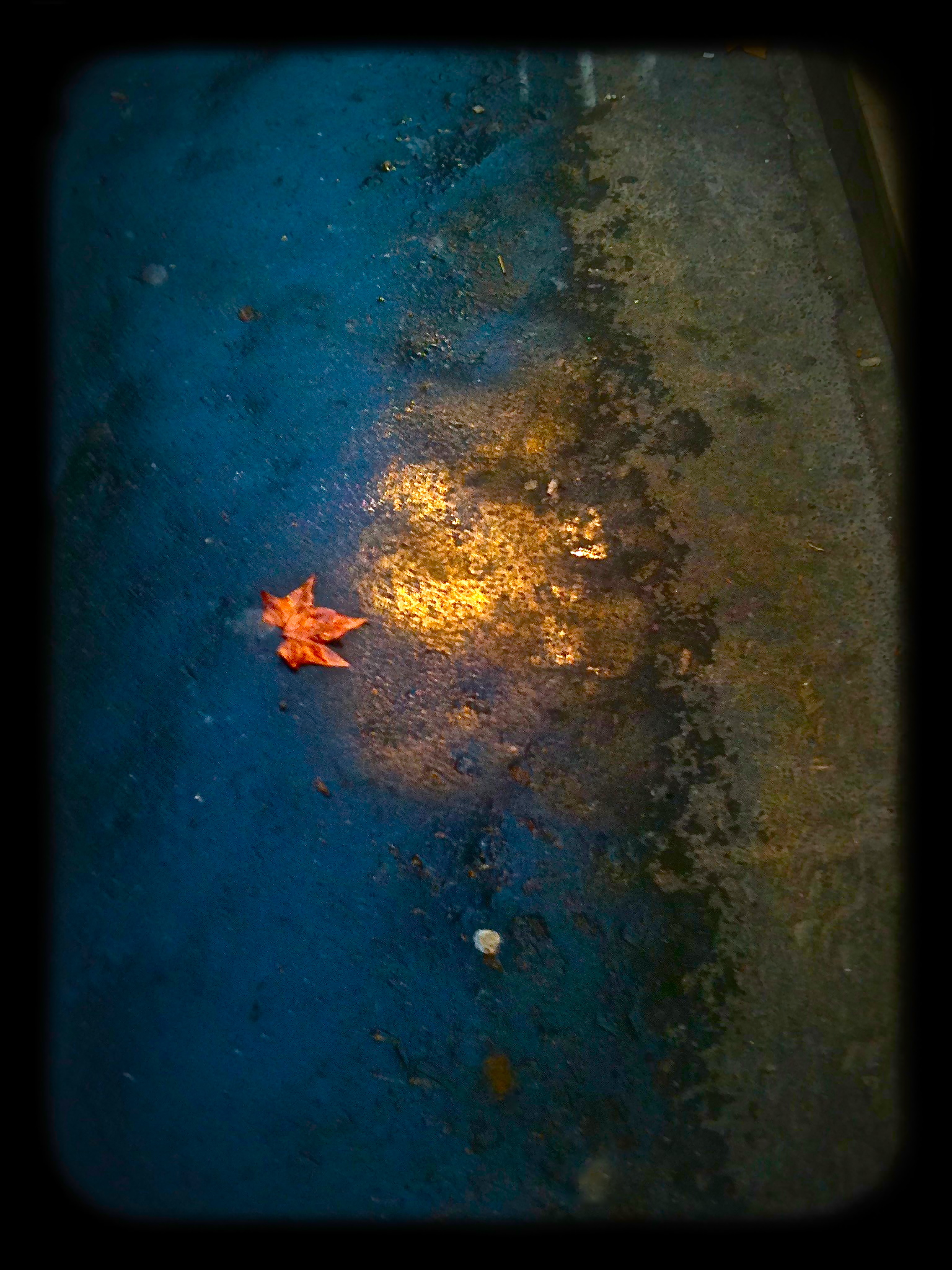 Orange leave
