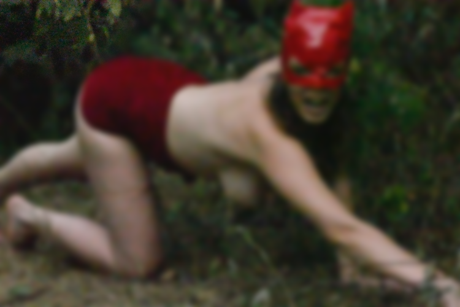 La panthère rouge