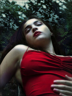LILY LE REGARD DU POETE