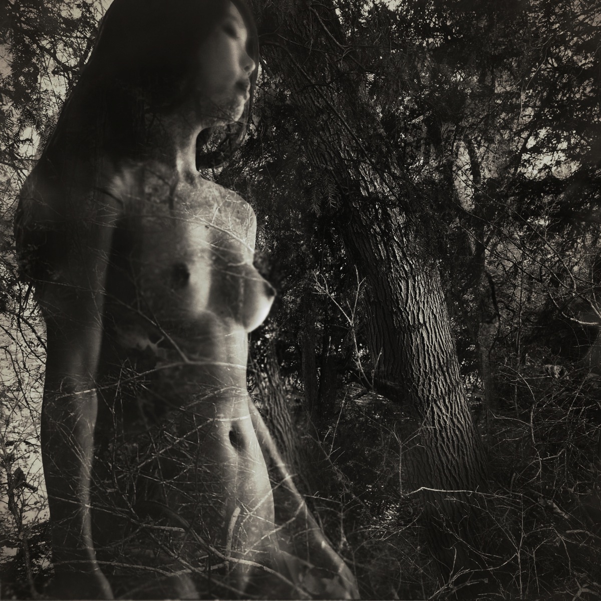 Pénétration des mondes- Femme forêt