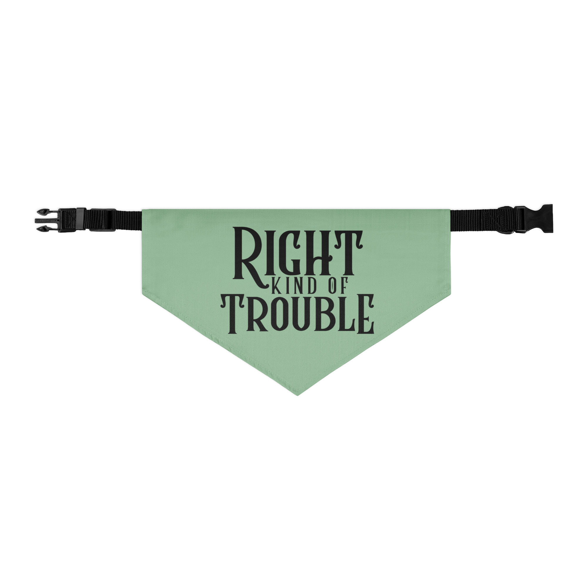 Right Kind of Trouble Pet bandana collar