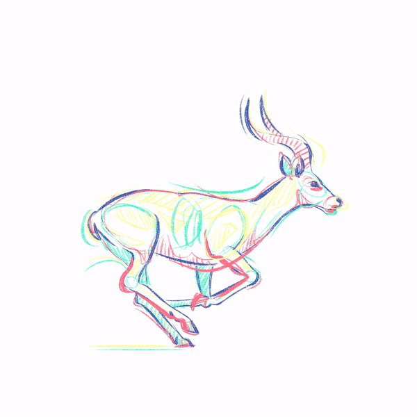 3-impala.gif