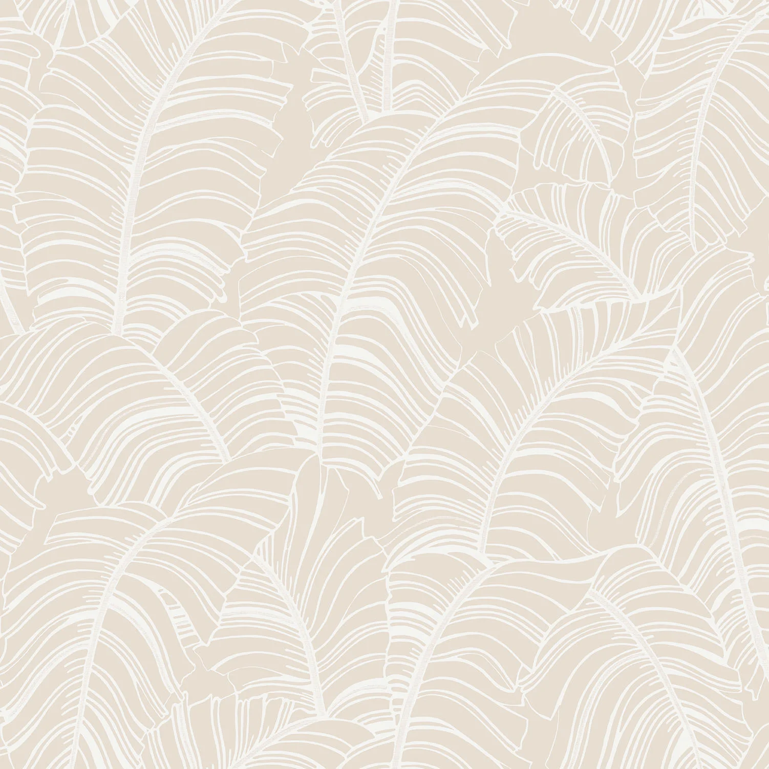 wallpaper.webp
