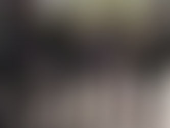 РЕБ-рушниці для 81 ОАБр