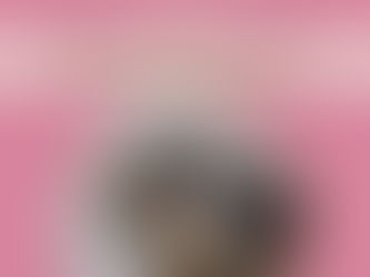 77 котиків знайшли домівку за червень