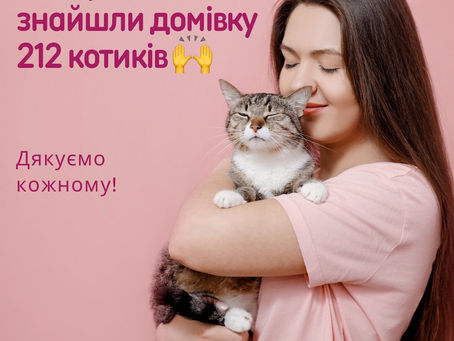 212 котиків знайшли домівку за серпень