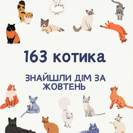 163 котика знайшли домівку за жовтень