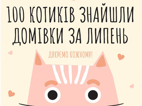 100 котиків знайшли домівку у липні