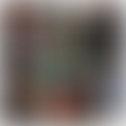 Провели 249 стерилізацій тварин з 11 по 17 грудня