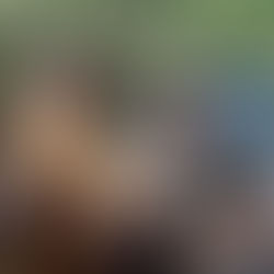 Придбали рації Motorola для 118 ОМБр