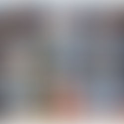 Проведено 704 стерилізації тварин за тиждень з 5 по 11 лютого