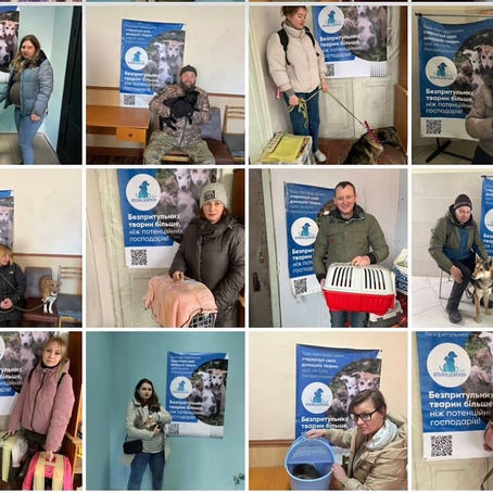 Провели 556 стерилізацій тварин за тиждень з 4 по 10 березня