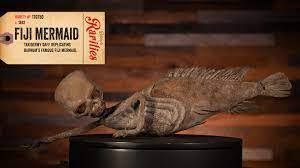 Fiji Mermaid