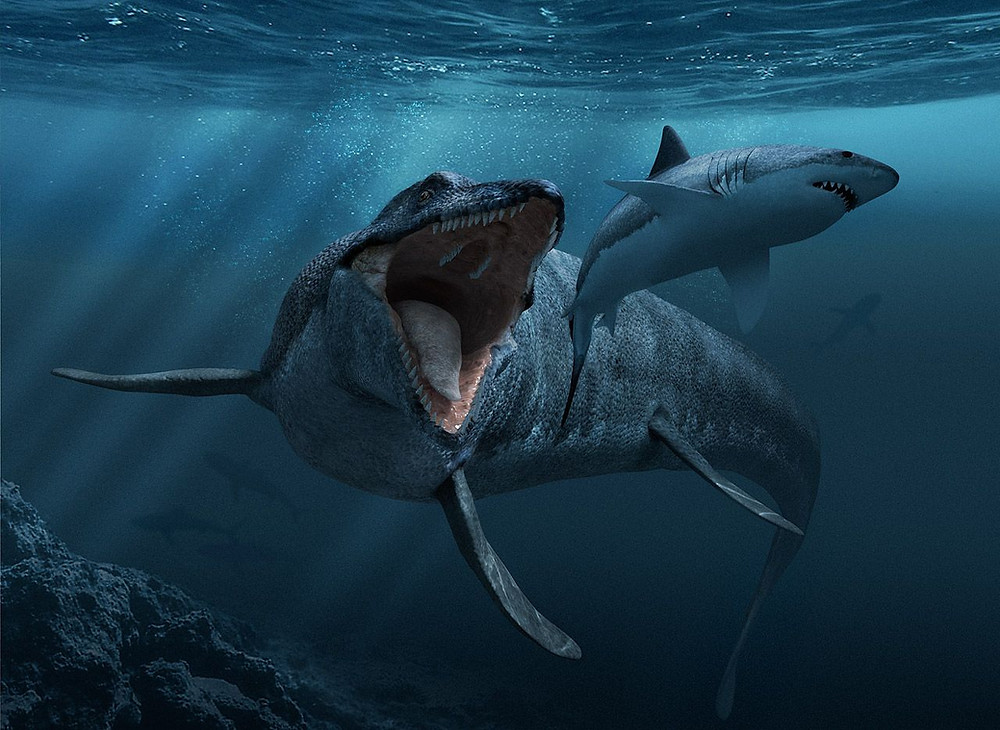Mosasarurus