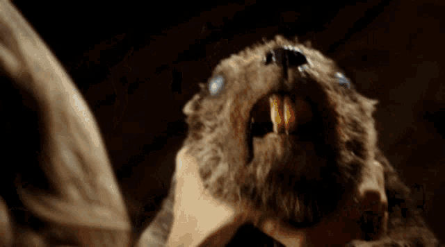 Gif from the movie zombeavers. One of the girls is fighting off a zombie beaver who is trying to bit her