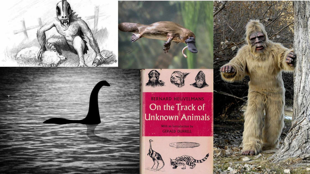 Cryptozoology Blogs