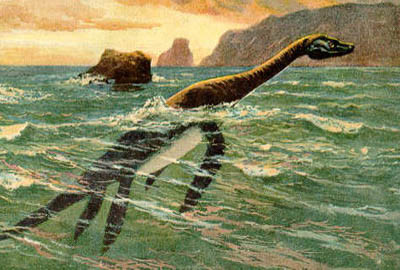 THE TURTLE LAKE MONSTER