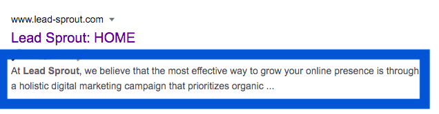 Example of a Description tag from Lead-Sprout's homepage. The pictures says "At Lead Sprout, we believe that the most effective way to grow your online presence is through a holistic digital marketing campaign that prioritizes organic ..."
