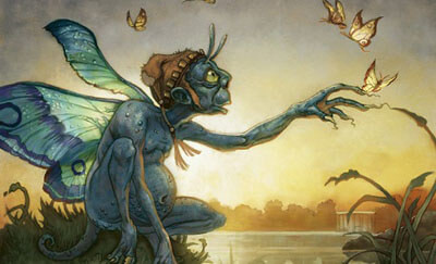 Irish fairies (Fae)