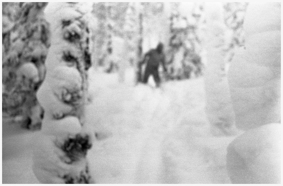 Alledged Yeti