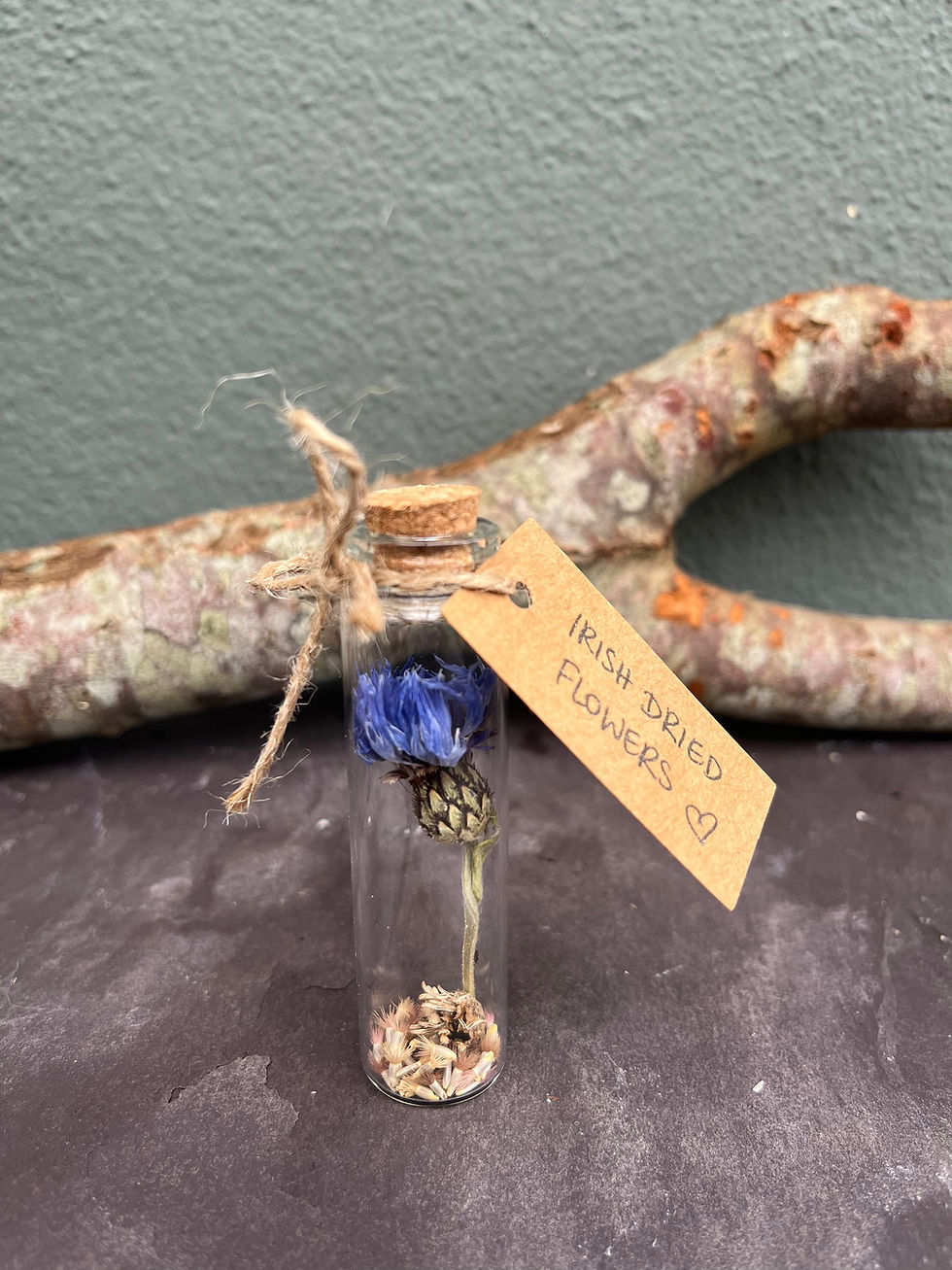 Thumbnail: Irish dried cornflower stem & seeds 