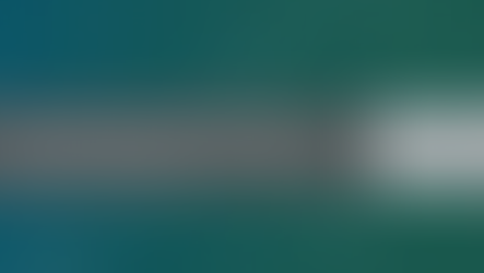 Artisan Global Discovery Strategy - Portfolio Manager Viewpoints June 2025