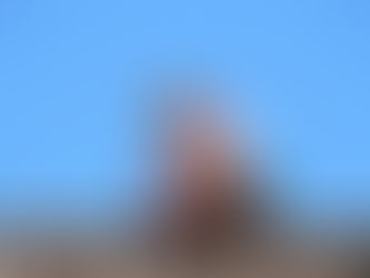 Fall from the Roof: $225,000 Fine Highlights Persistent Failures in Height Safety