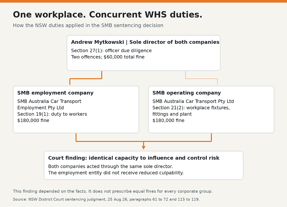 Concurrent NSW WHS duties of SMB’s employment company, operating company and sole director, with the penalties imposed and the court’s finding about capacity to control risk.